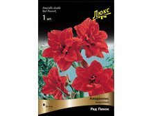 ��������� ��� ����� 290