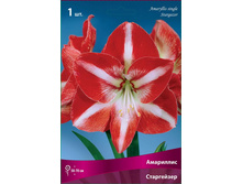 ��������� ����������. 245