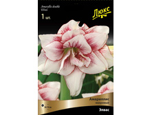 ��������� �����. 266