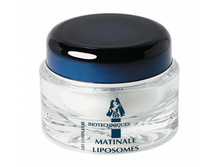 ���� «�������� �������»