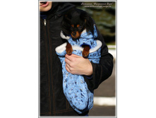 �������� ��� ��������� ������� (��������� + �������).