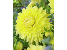 �������� ������� 94,0