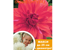 �������� �������� 94,0