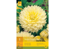 �������� ������ ������ 94,0