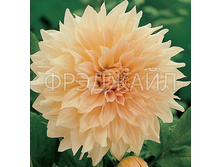 �������� ���� � �� 94,0