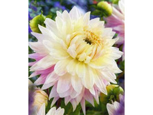 �������� ���� 94,0