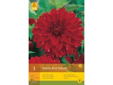 �������� ��� ������ 94,0