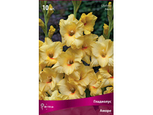 ��������� ����� 89,0