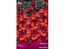 ��������� ����� ���� 89,0