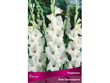 ��������� ���� ���������� 80,0