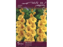 ��������� ������� 89,0