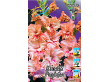 ��������� ����� ���� 99,0