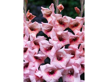 ��������� ������ 94,0