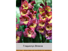 ��������� ������ 94,0