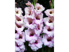 ��������� ������� 94,0