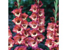 ��������� ����� 94,0