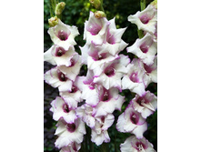 ��������� �������� 94,0