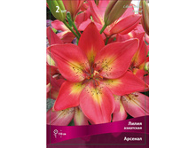 ����� ������� 82,0