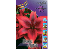 ���� ��� 72,0