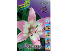 ����� ������ 72,0