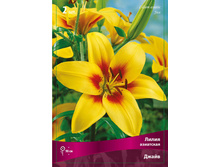 ����� ����� 82,0