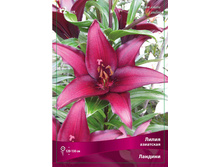 ����� ������� 94,0