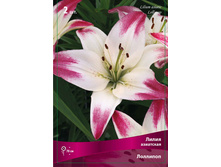 ����� �������� 78,0