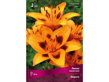 ����� ������� 78,0