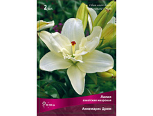 ����� ��������� ���� 115,0