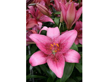 ����� ���� ��  94,0