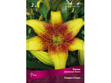 ����� ������ ����� 86,0