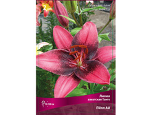 ����� ���� �� 94,0