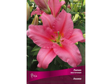 ����� ����� 78,0