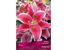 ����� �� �����78,0