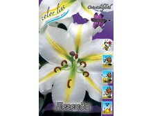 ����� ������� 78,0