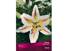 ����� ����� 110,0