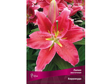 ����� ��������� 82,0