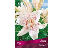 ����� �������� 78,0