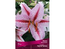 ����� ������ ����� 98,0