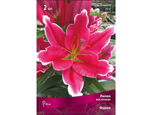 ����� ����� 94,0