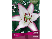 ����� ������� 98,0