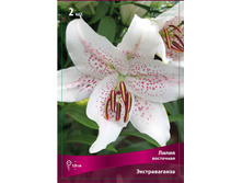 ����� ������������� 98,0