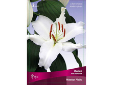 ����� ������ ���� 74,0