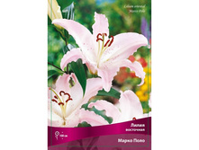 ����� ����� ���� 74,0