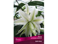 ����� ���� ���� 110,0