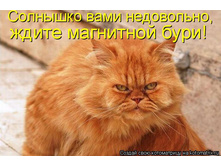 �������� ���� ����������.jpg