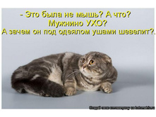 ��� ������� ���.jpg