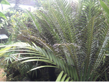 2012-08-25 13.24.25.jpg