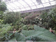 2012-08-25 13.28.29.jpg