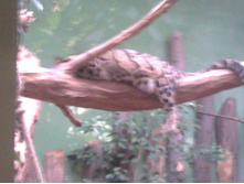 2012-08-24 17.14.06.jpg